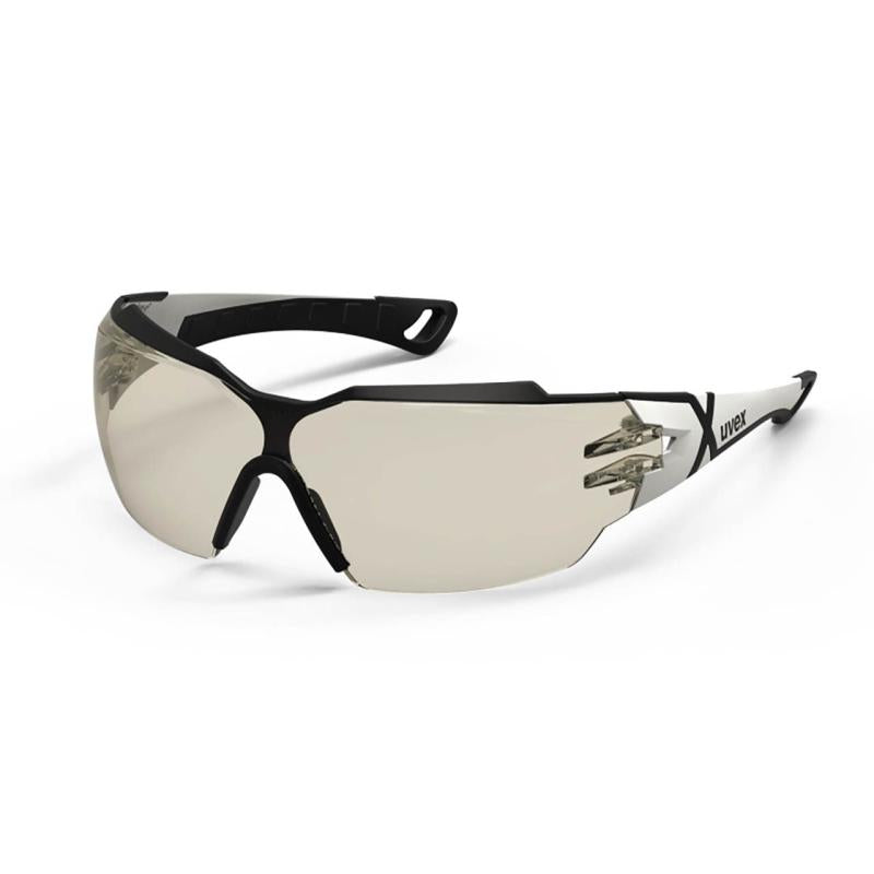 Pheos CX2 Safety Goggles 9198.064 | UFO