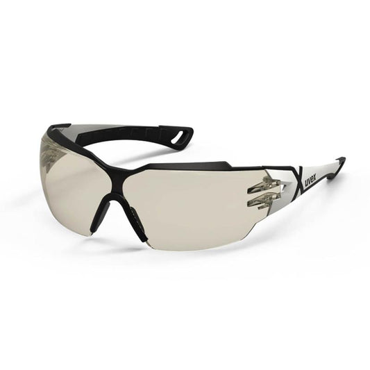 Pheos CX2 Safety Goggles 9198.064 | UFO 